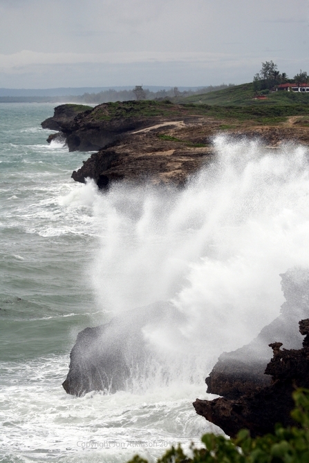 Kenya's East Coast Kenya's East Coast